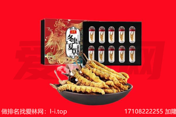建邺区回收虫草.jpg